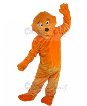 bear mascot costume