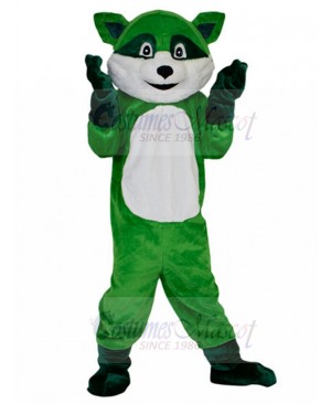 Raccoon mascot costume