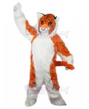 Tiger mascot costume