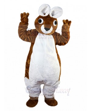 Rabbit mascot costume