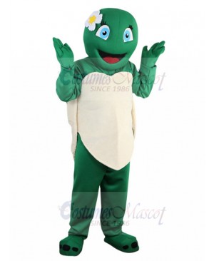 Turtle mascot costume