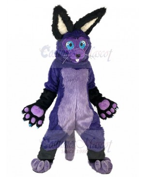 Rabbit mascot costume