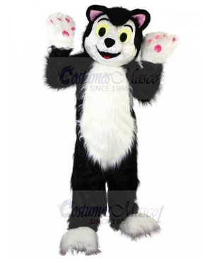cat mascot costume