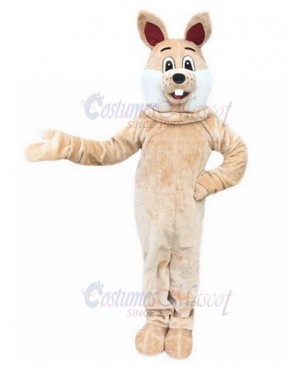 Rabbit mascot costume
