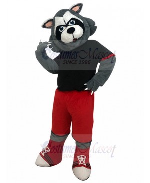 wolf mascot costume
