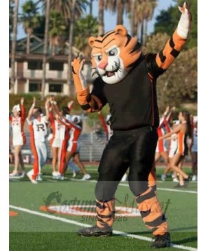 Tiger mascot costume