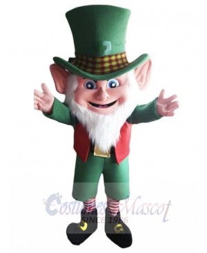 Leprechaun mascot costume