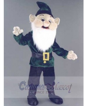 Elf mascot costume