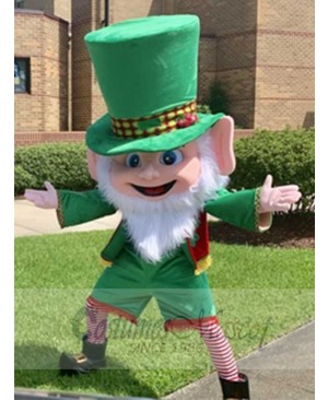 Leprechaun mascot costume