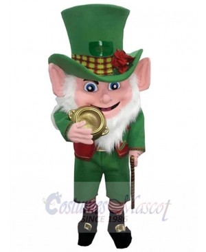 Leprechaun mascot costume