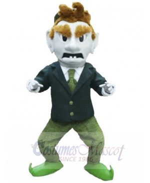 Leprechaun mascot costume