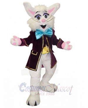 Wendell Rabbit mascot costume