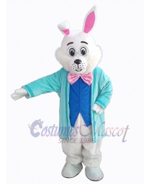 Easter Bunny Rabbit mascot costume