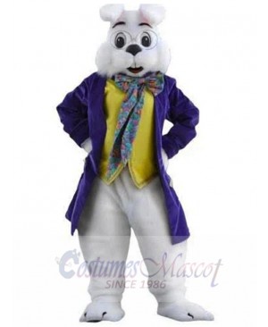 Wendell Rabbit mascot costume