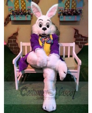 Wendell Rabbit mascot costume