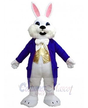 Easter Bunny mascot costume