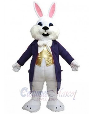 Easter Bunny mascot costume