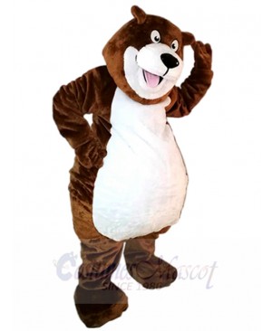 bear mascot costume