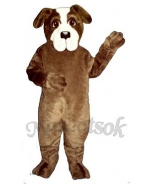 Cute St. Bernard Dog Mascot Costume
