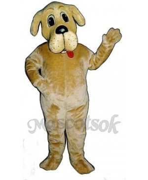 Cute Bernie Bernard Dog Mascot Costume