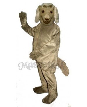 Cute Afghan Dog Mascot Costume