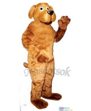 Cute Danny Dog Mascot Costume