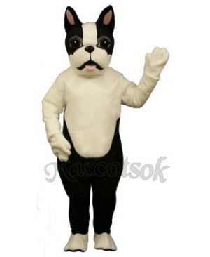 Cute Terri B. Terrier Dog Mascot Costume