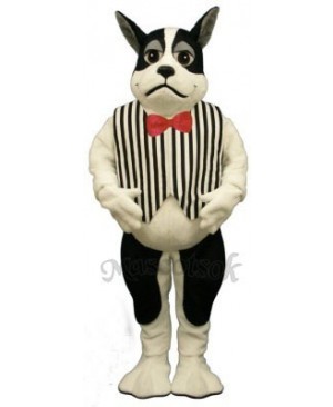 Cute Harrington Dog with Vest Mascot Costume