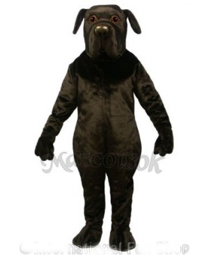 Cute found land Dog Mascot Costume