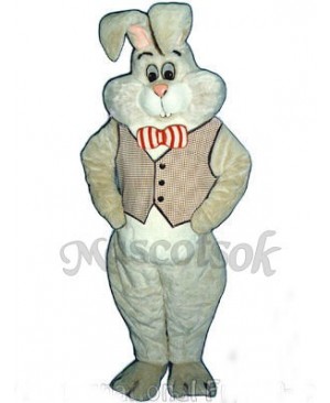 Easter March Hare Bunny Rabbit Mascot Costume