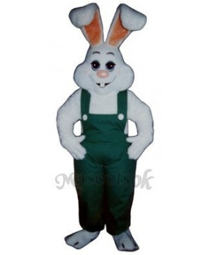 Easter Bunny Rabbit Boy Mascot Costume