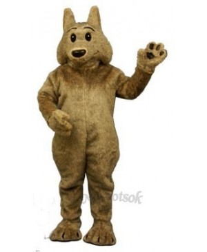 Cute Kyle Koyote Coyote Wolf Mascot Costume