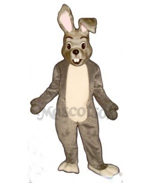 Easter Happy Bunny Rabbit Mascot Costume