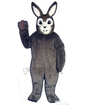 Easter J.R. Bunny Rabbit Mascot Costume