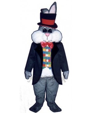 Cute Easter Bunny Rabbit In Hat Mascot Costume