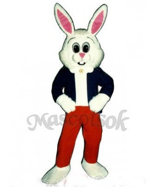 Easter Hare Bunny Rabbit Mascot Costume