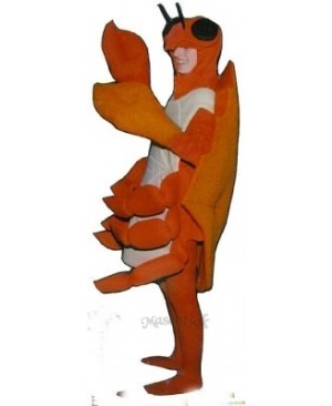 Cute Crab Mascot Costume