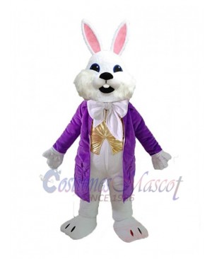 Easter Bunny Rabbit mascot costume