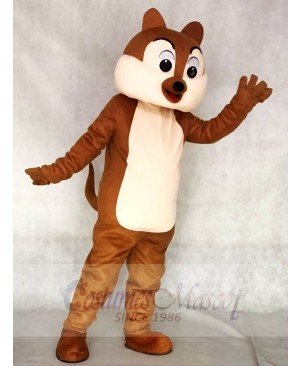 Squirrel Boy Mascot Funny Costumes Animal