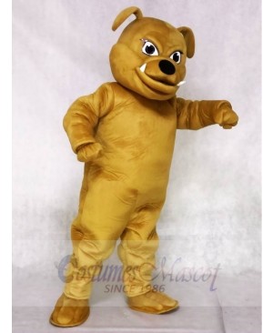 Brown Bulldog Animal Mascot Costumes
