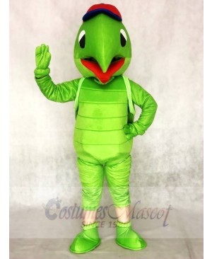 Green Tortoise Turtle Mascot Costumes Animal