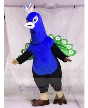 Cute Peacock Mascot Costumes Bird Animal