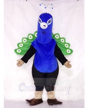 Cute Peacock Mascot Costumes Bird Animal