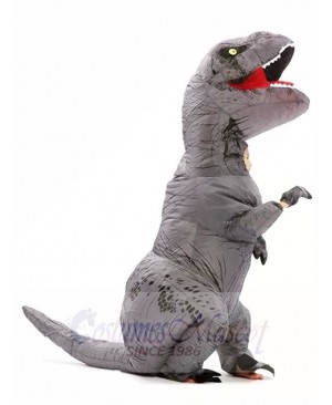 Grey Gray T-REX Dinosaur Inflatable Halloween Christmas Costumes for Kids
