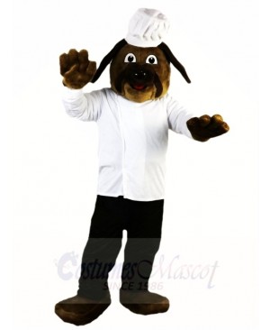 Brown Dog Chef Cook Mascot Costumes Animal