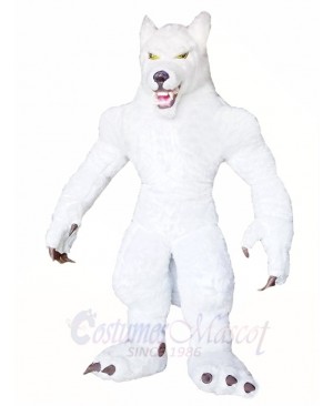 White Wolf Mascot Costumes Animal