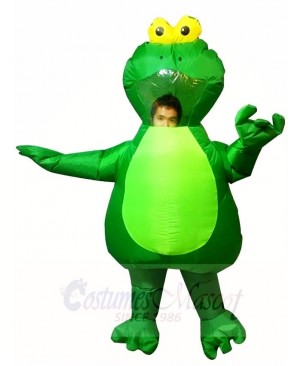 Green Frog Inflatable Halloween Xmas Costumes for Adults