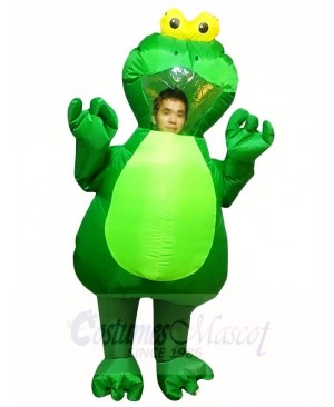 Green Frog Inflatable Halloween Xmas Costumes for Adults