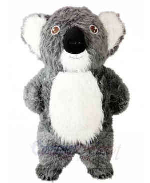 Grey Koala Bear Mascot Costumes Animal 