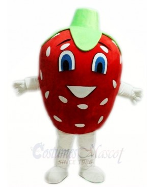 Strawberry Mascot Costumes Fruit Food Plant